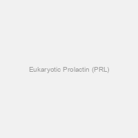 Eukaryotic Prolactin (PRL)